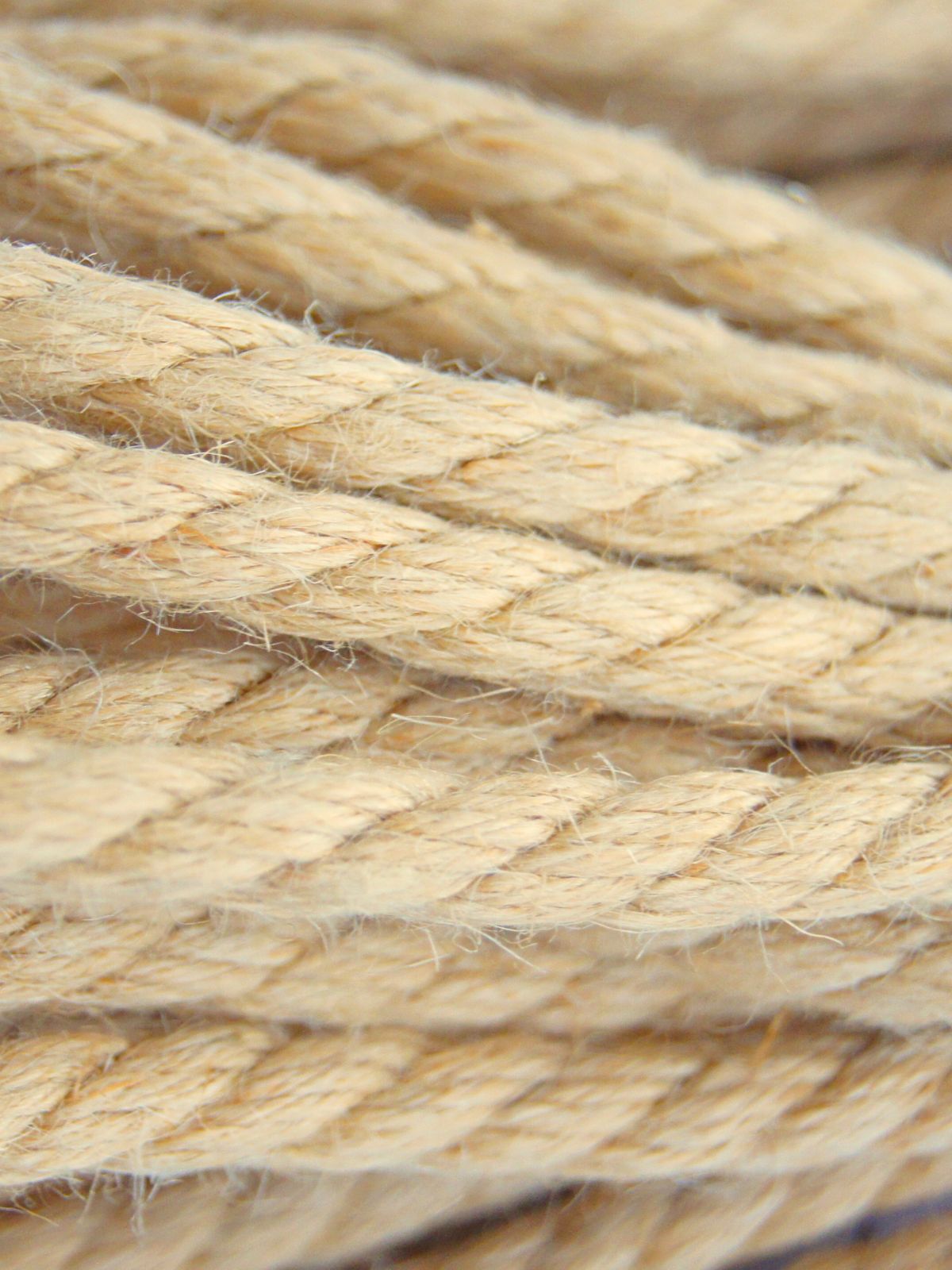 Mitsuki MAXI-ROLL, ~6kg, multi-ply loose-lay jute rope for Shibari and Kinbaku applications, untreated, JBO-free