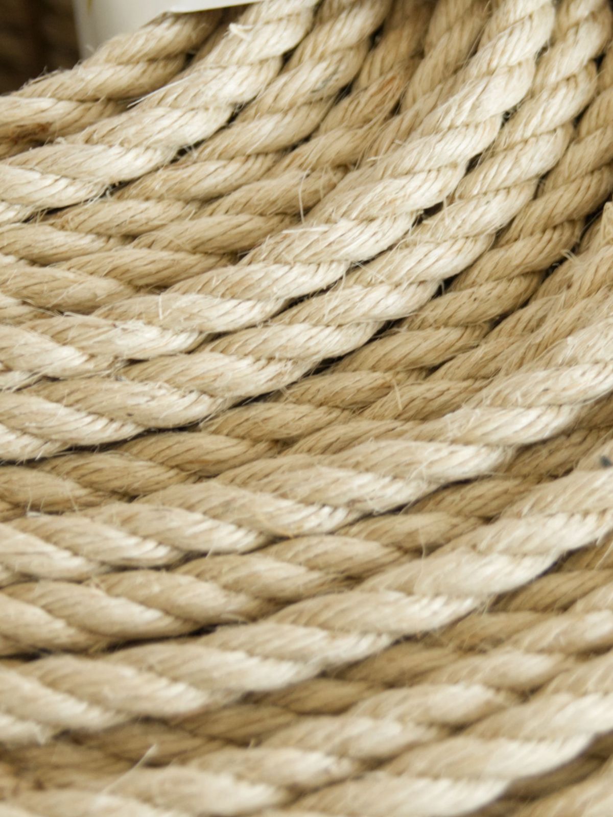 HASHIRA 6/0 sample box, 1x 4m untreated rope & 5€ discount code